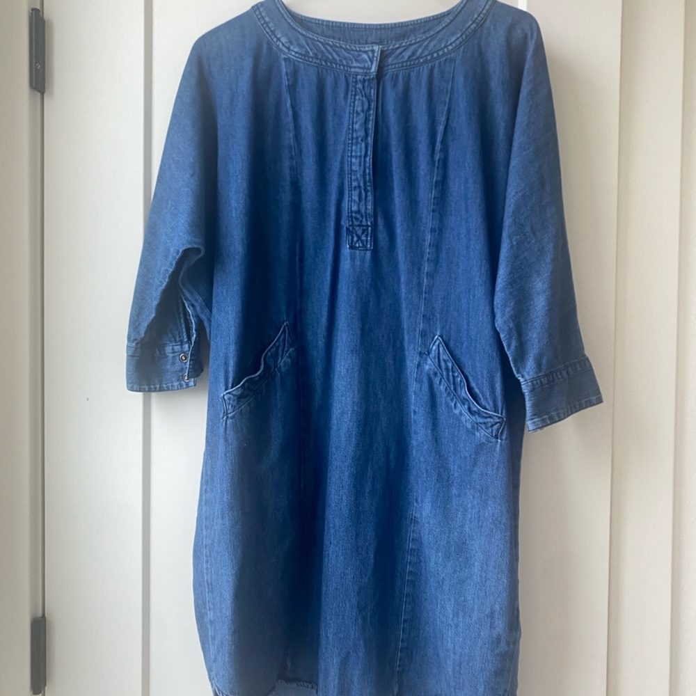 BDG Blue Denim Dress tunic tops long shirt